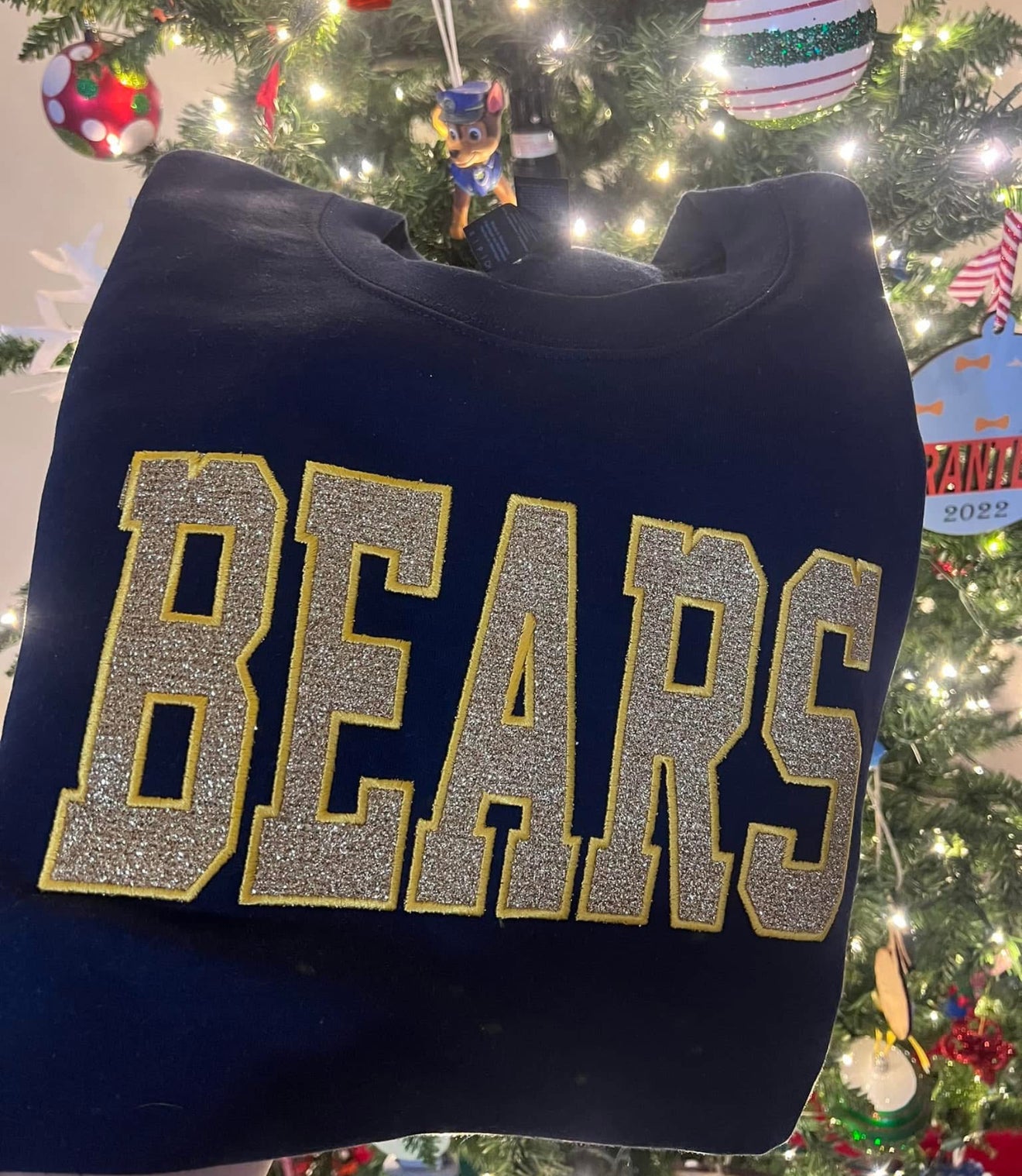 Custom Glitter Appliqué Personalized Sweatshirt or Hoodie | Any Team, Any Word, Any Color Combo!