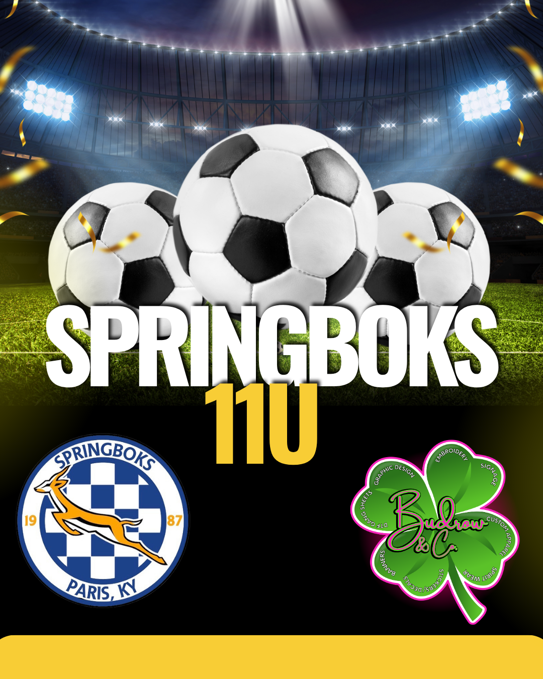 Springboks 11U
